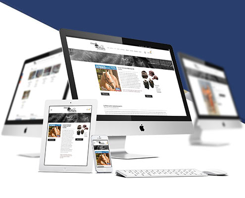 web tasarım ajansı izmir, izmir kurumsal web site