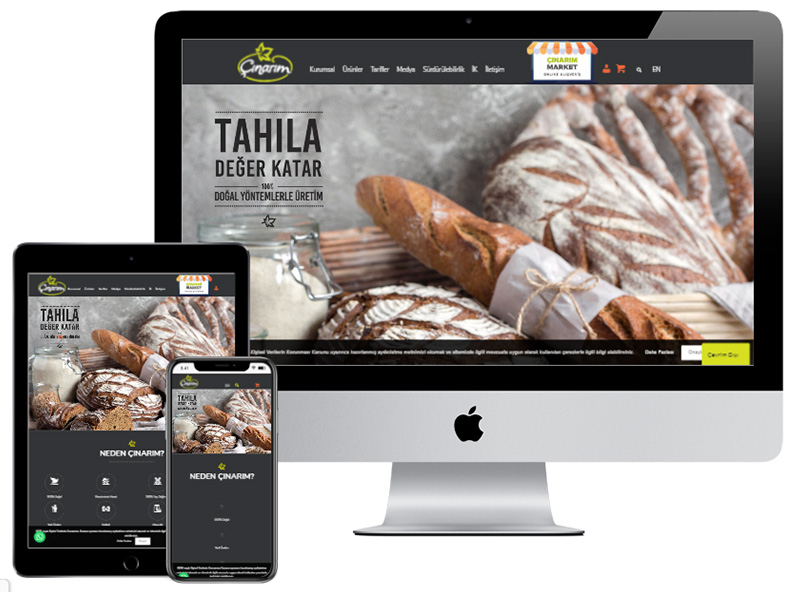 çınarım e-ticaret sitesi izmir web tasarım un tahıl ürünleri website